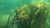 2011-06-15 16-58-55 UK_01